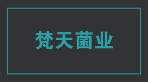 食品行業(yè)工作服定做設(shè)計款式